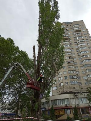 Прикрепленное изображение: Москольцо.22.05.23.рубка.1.jpg